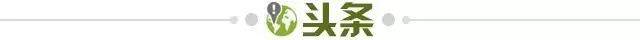 【早报】四强≈小组前四！小组排名最可信的一集！